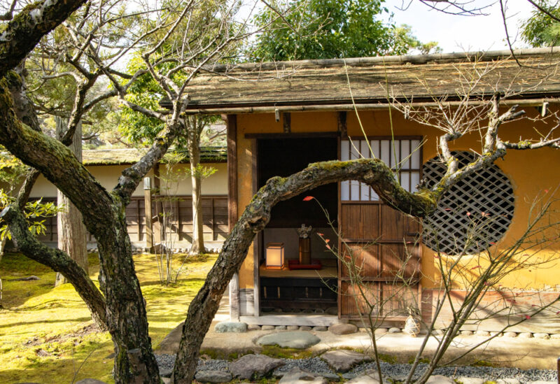 千利休の名言 一期一会 にみる茶の湯のこころ 能 狂言を観に行こう