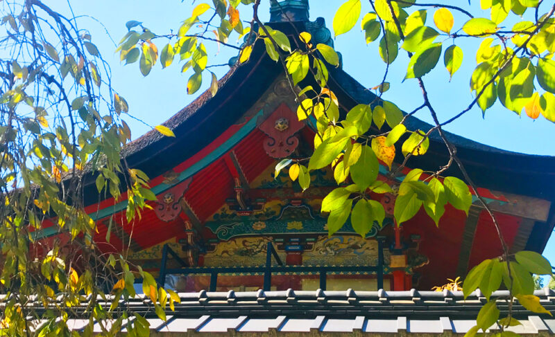 御香宮神社、本殿の極彩色