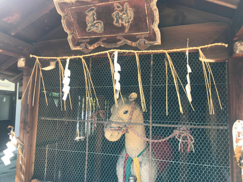 御香宮神社の神馬