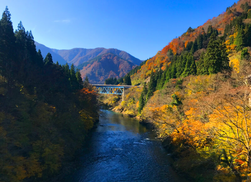 湯出島橋から見た晩秋、紅葉の季節の庄川