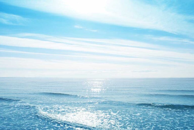 海