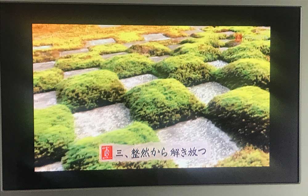 東福寺の庭の市松模様