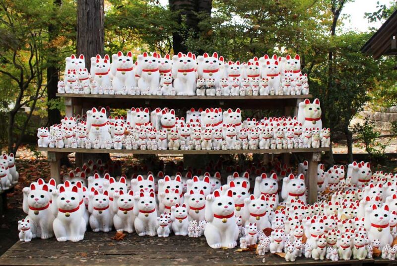 豪徳寺に奉納された招き猫