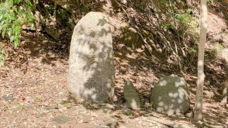 猿田彦神社、裏手にある御神田
